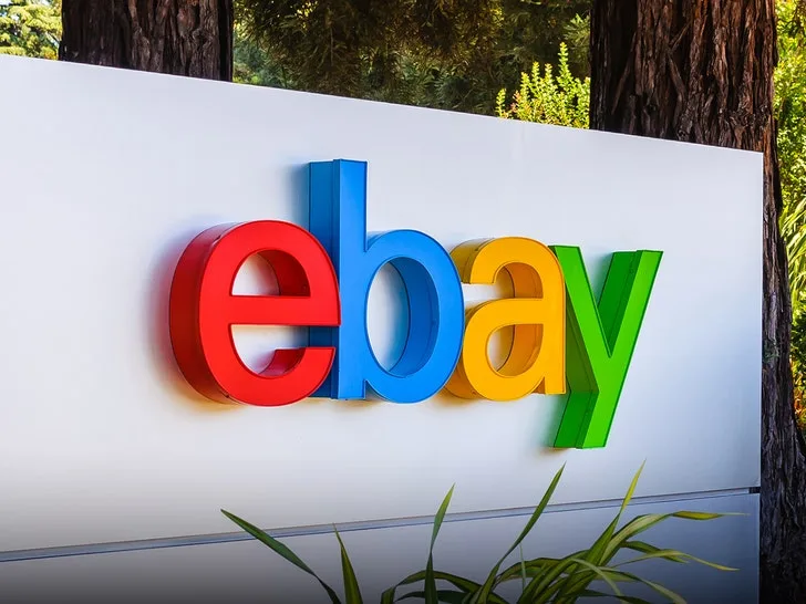 eBay выплатит $46 млн паре за сталкинг с тараканами и маской свиньи — фото 1