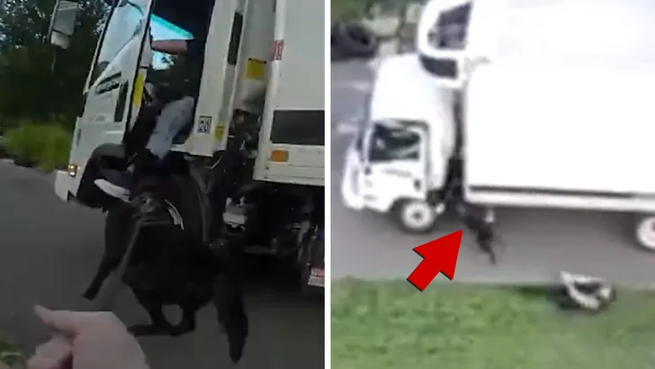Полицейская собака протащилась за грузовиком, вцепившись в подозреваемого