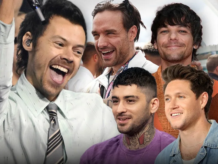 Харри Стайлс тронул фанатов благодарностью One Direction на финальном концерте в Уэмбли