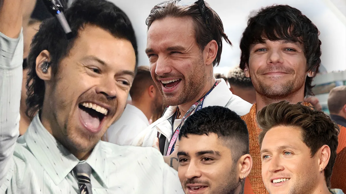 Харри Стайлс тронул фанатов благодарностью One Direction на финальном концерте в Уэмбли