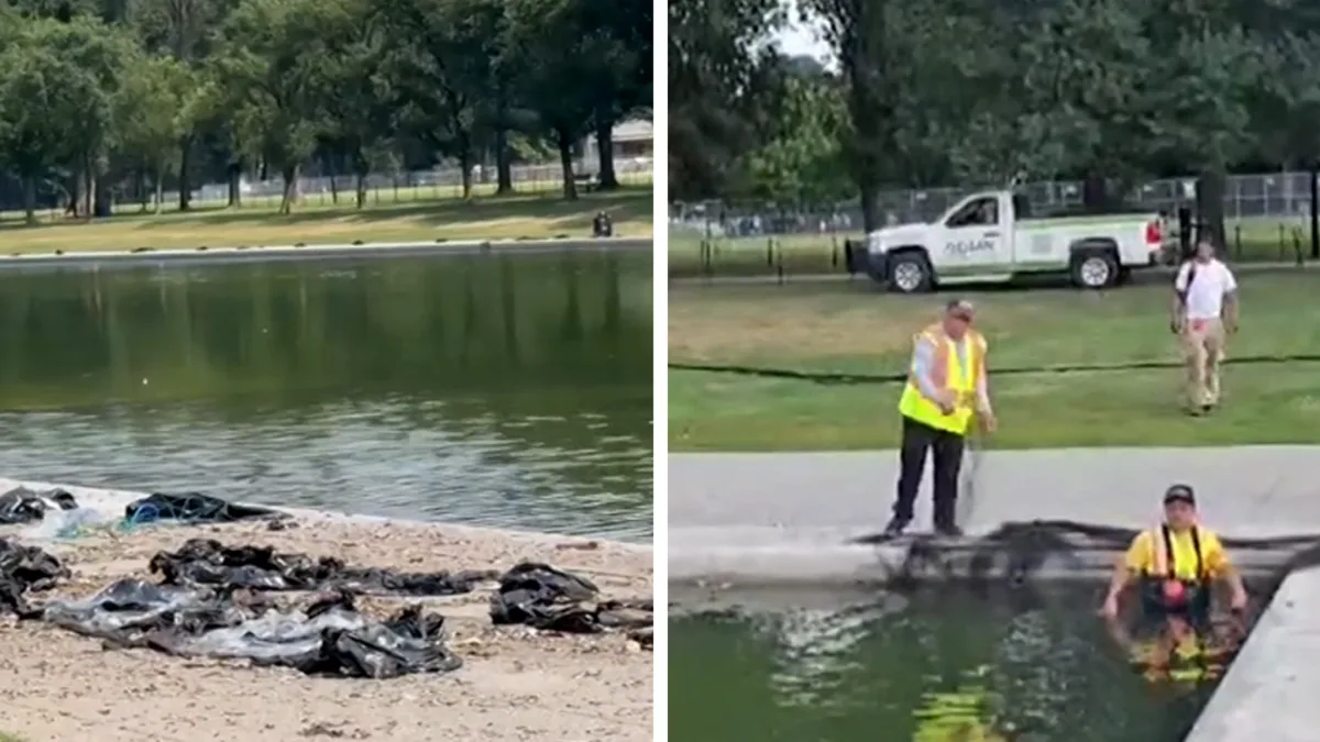 Reflecting Pool Littered With Trash After July 4th: Cleanup and Scandals