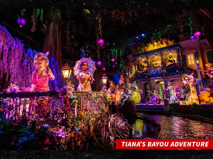 Ребёнок снова покинул аттракцион Tiana's Bayou Adventure в Disneyland перед 50-футовым падением — фото 4