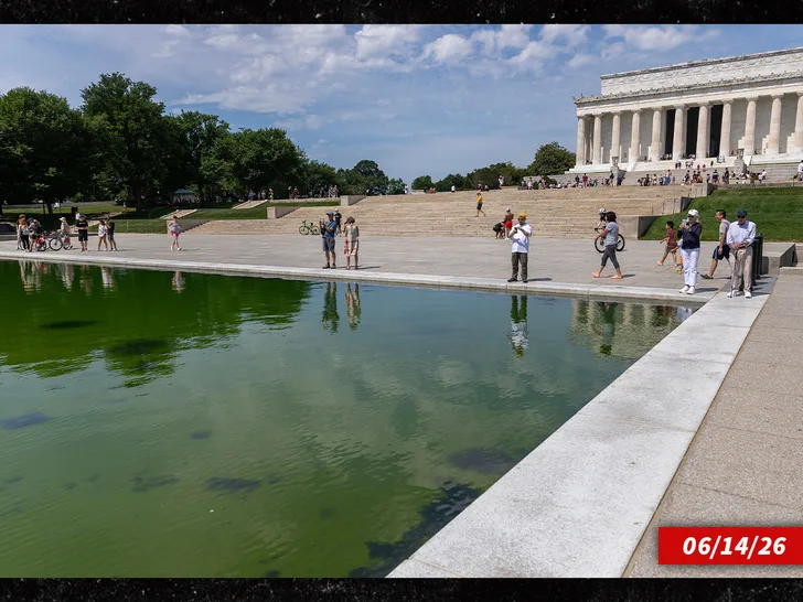 Фонтаны в парке Трампа стали коричневыми: очередной провал — фото 3