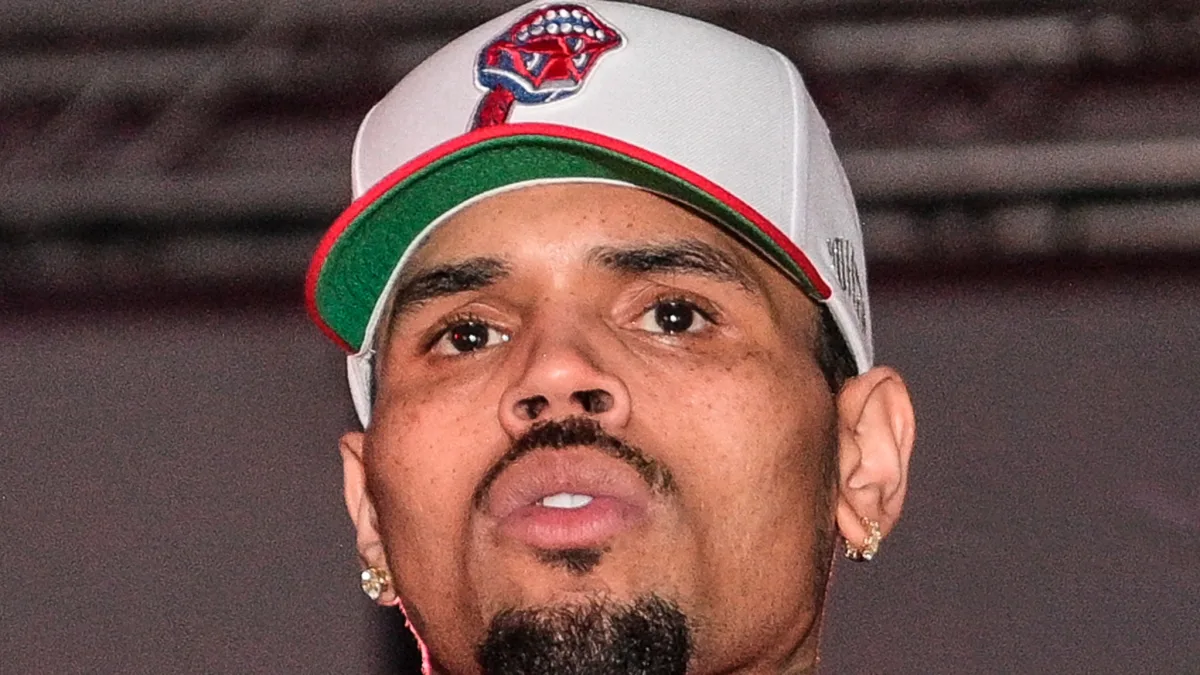 Chris Brown Seeks New Trial in Dog Bite Lawsuit
