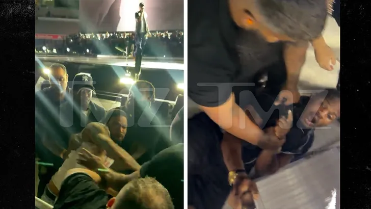 Фанаты Jay-Z подрались с охраной на концерте в Yankee Stadium — фото 1