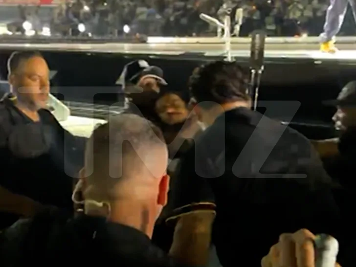 Фанаты Jay-Z подрались с охраной на концерте в Yankee Stadium — фото 2