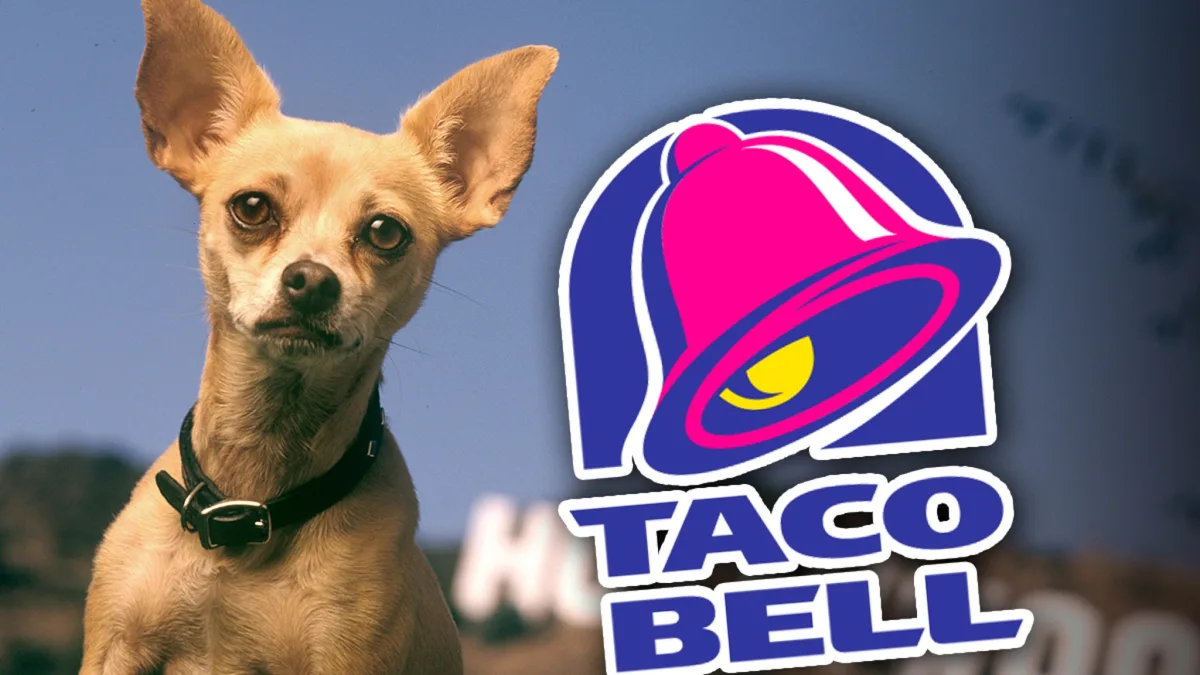 Taco Bell Chihuahua Voice Actor Dines Amid Outbreak, Warns Fans