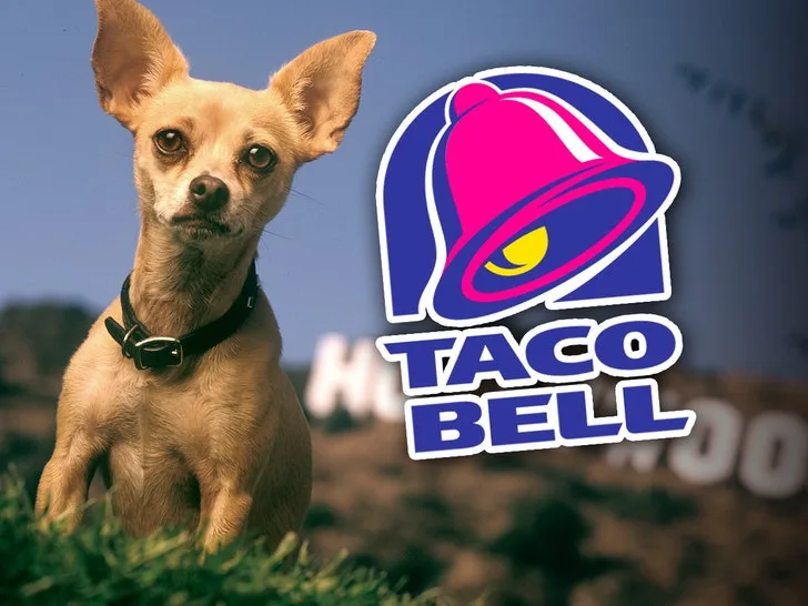 Актёр озвучки чихуахуа из Taco Bell поел в ресторане и предупредил фанатов — фото 1