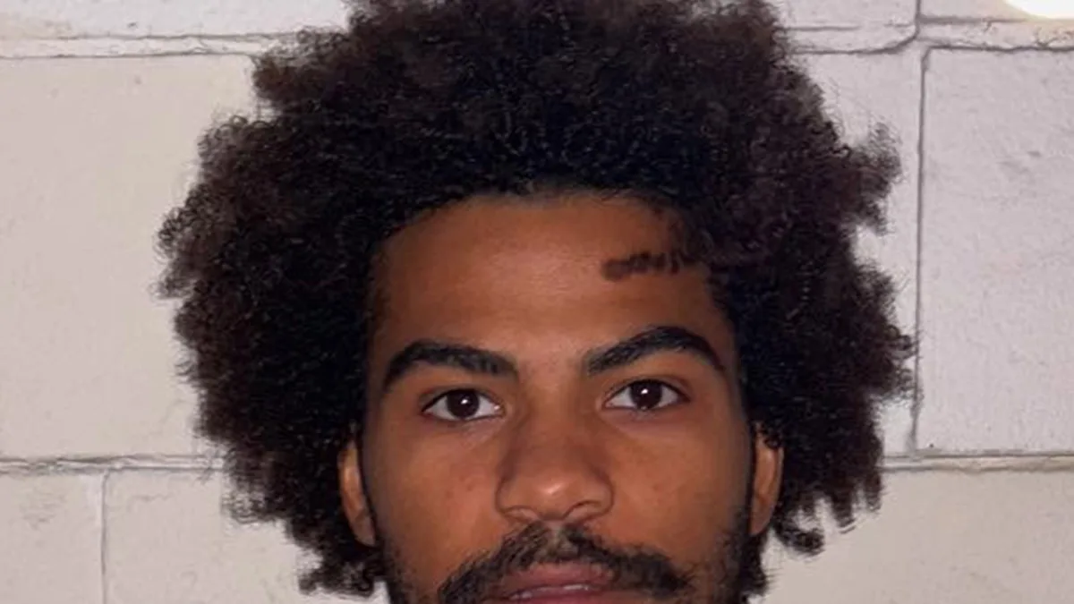 Station 19 Star Noah Alexander Gerry Arrested for Vandalism
