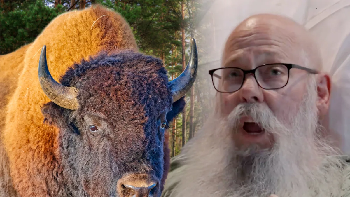Bison Attack Victim Tells His Story from Hospital Bed