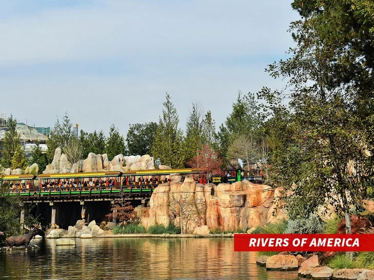 Сотрудник Disneyland прыгнул в Rivers of America — видео — фото 2